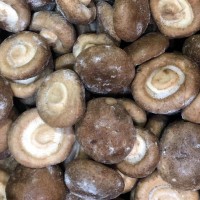 IQF Shiitake Wholes,Frozen Shiitake Wholes,IQF shiitakes