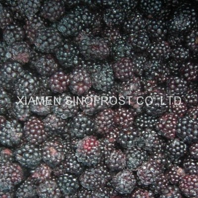 IQF Blackberries,Frozen Blackberries,IQF blackberry,Frozen Blackberrypicture1