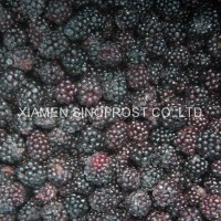 IQF Blackberries,Frozen Blackberries,IQF blackberry,Frozen Blackberry