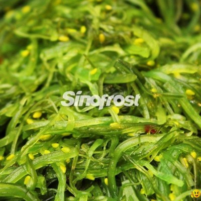 Frozen Seasoned Seaweed Salad,Frozen Seasoned Wakame Salad, Hiyashi Wakamepicture1