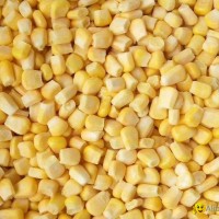 IQF Sweet Kernel Corn,Frozen Sweet Kernel Corn,IQF Sweetcorn Kernels