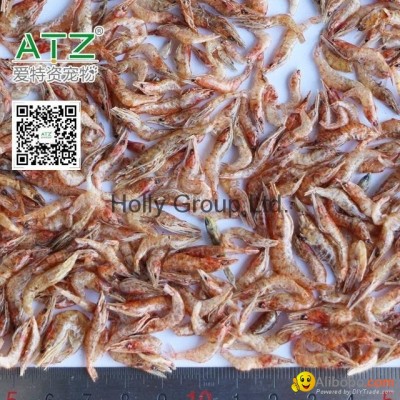 dried river shrimppicture1