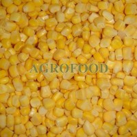 IQF SWEET CORN