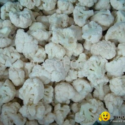 IQF cauliflowerpicture1