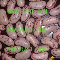 Light Speckled Kidney Beans