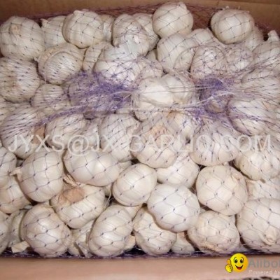 Jinxiang Purel White Fresh Garlic 10kG carton Packing*picture1