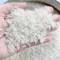 Top 10 Rice Producing Countries in the World