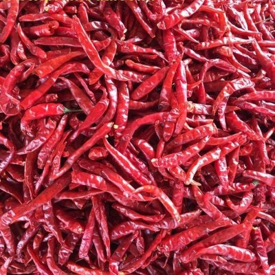 Dried Red Chilies ENDO 5picture1