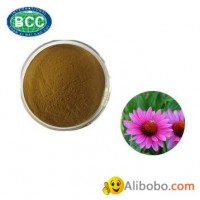 Echinacea Extract