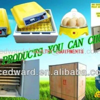 2013 hot sale professional automatic mini digital machine incubator