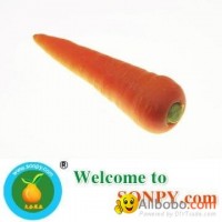 Fresh Carrot,Carrots,Vegetables