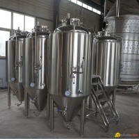 500L/1000L beer fermentation tank