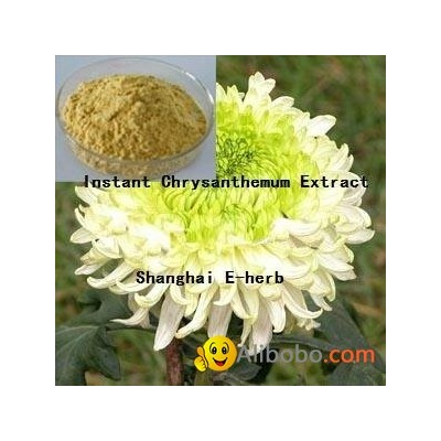 Instant Chrysanthemum Extract Powderpicture1