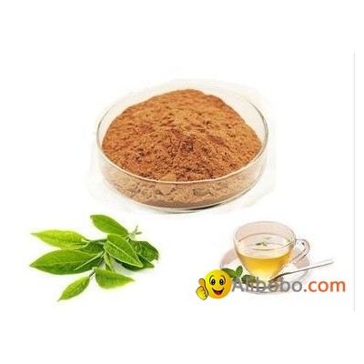 Instant Green Tea Extract Powderpicture1