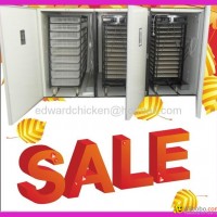 2013 hot sale professiomnal automatic incubator