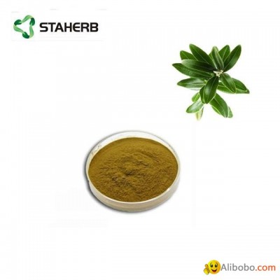 Olive leaf extract Oleuropein25%picture1