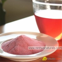 Fruits Juice Powder Pomegranate Juice Powder Apple Juice Powder Banana Powder