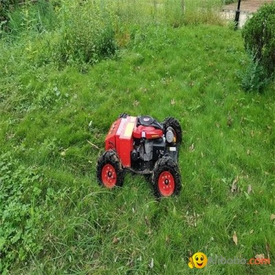 Wireless Radio Control Mowing Robot (SSW550-70)picture1