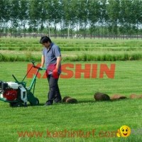 Sod Cutter,Turf Cutter,Lawn Cutter made in China