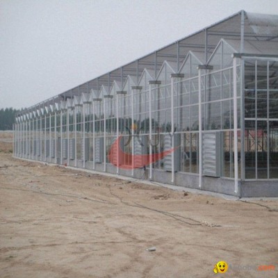 Agricultural Polycarbonate Greenhouse  Agricultural Glass Greenhousepicture1