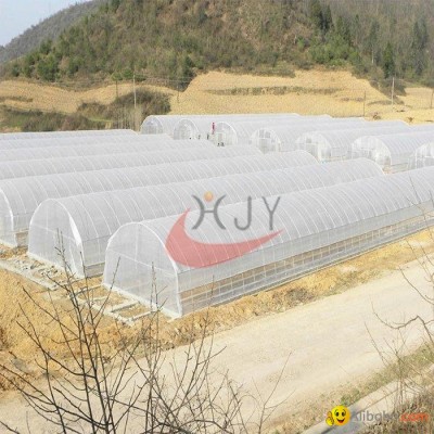 Agricultural Single Span Plastic Film Greenhousepicture1