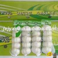 Jinxiang Pure White Garlic 5P*