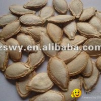 pumpkin seeds