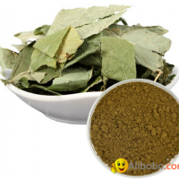 Epimedium Extract Powder