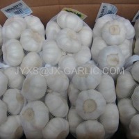 Jinxiang Fresh Pure White Garlic 500gX20*