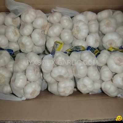 Jiniang Pure White Garlic 500g X20*picture1