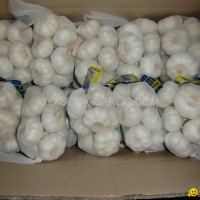 Jiniang Pure White Garlic 500g X20*