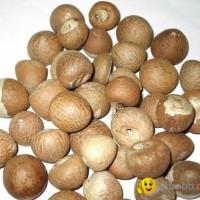 OFFER DRIED BETEL NUTS.pls contact me via SKYPE: smithnguyen1