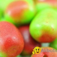 Apple Shaped Bubble Gum  Balls