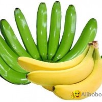 FRESH CAVENDISH BANANA