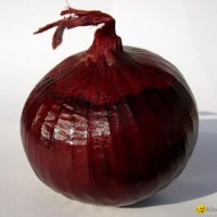 onion