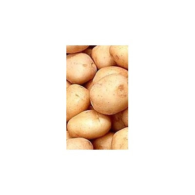 potatoespicture1