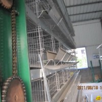 automatic broiler cage