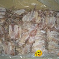 DRIED SEASONED SQUID