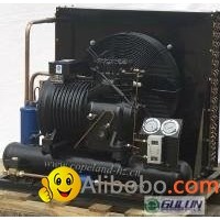 Gulun Air cooled condensing unit-2cs-300