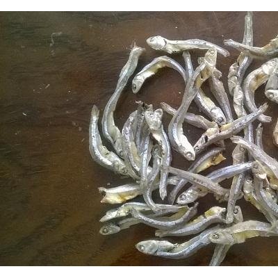 Dried anchovypicture1