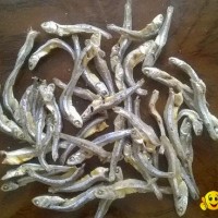 Dried anchovy