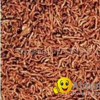 Freeze dried bloodworm