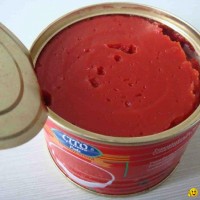 CANNED TOMATO PASTE