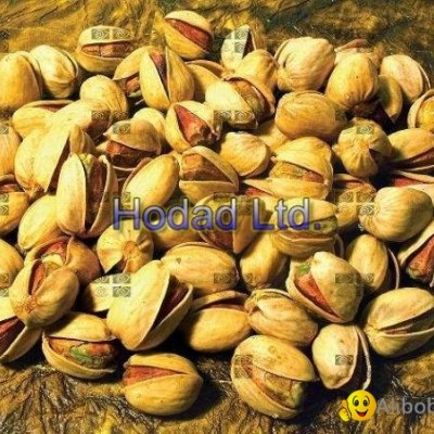 Jumbo Iranian Pistachio (Kalleqouchi)picture1