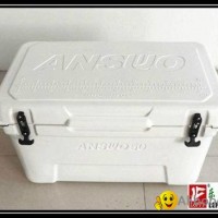 Cooler box ice box 30L