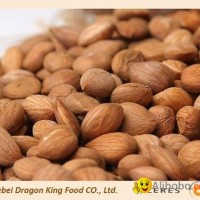 Raw Sweet Apriot Kernels from China