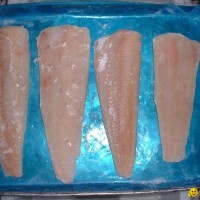 frozen hake fillets