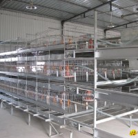 automatic chicken broiler cage