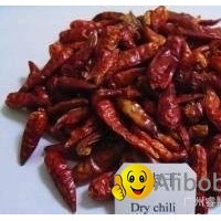 Chinese chilli pods