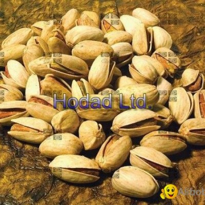 Long Iranian Pistachio (Ahmad aghaee)picture1